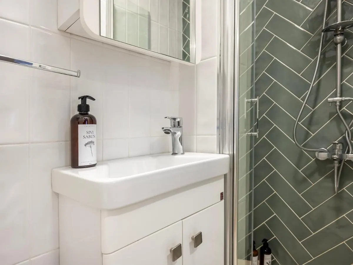 Apartment Huge 40Sqm Studio Wac In The Heart Of Cihangir Innv34062 Istanbul Turkey